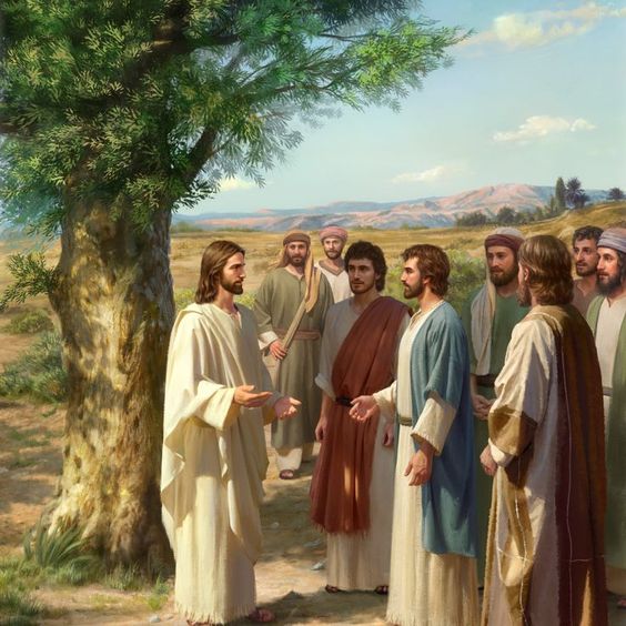 Liturgia e Homilia - Nosso Senhor Jesus Cristo, Rei do Universo - Solenidade - 26 de outubro de 2023