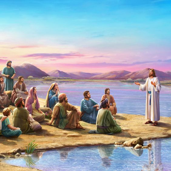 Liturgia e Homilia - 15º Domingo do Tempo Comum - 16 de julho de 2023